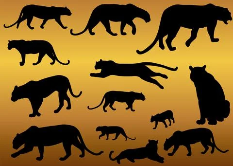 Leopard predator animal silhouettes vector Stock Illustration