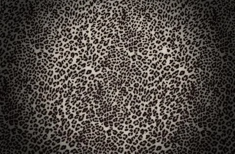 Leopard Prind Stock Photos