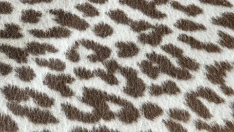 Leopard print on beige background, leopard texture Stock Footage 110728498