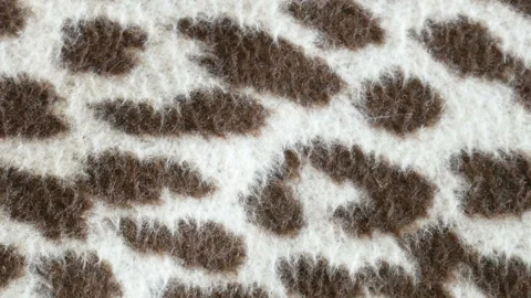 Leopard print on beige background, leopard texture Stock Footage 110728578