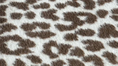 Leopard print on beige background, leopard texture Stock Footage 110728682