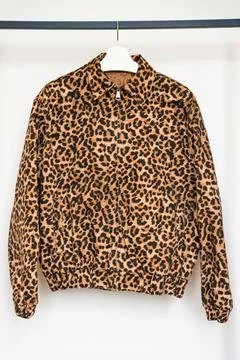 Leopard print cotton bomber jacket on hanger isolated on white minimalist Stock Photos