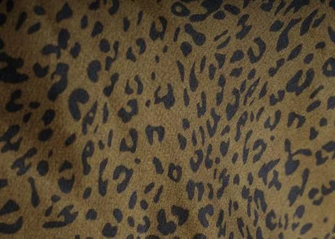 Leopard Print Fabric Close-Up 스톡 사진