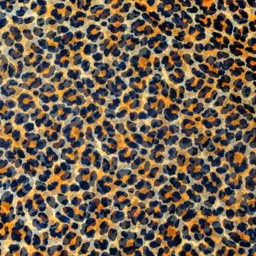 Leopard print, fabric pattern Stock Photos