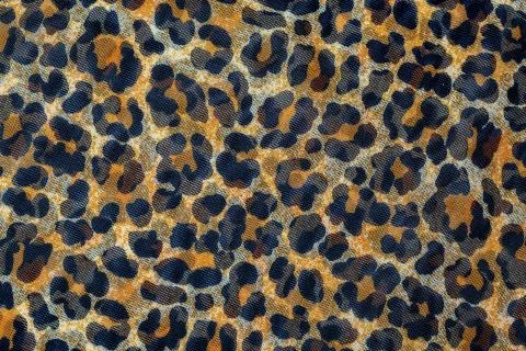Leopard print, fabric pattern Stock Photos