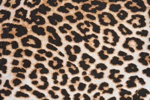 Leopard Print Fabric Pattern Stock Photos