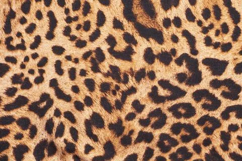 Leopard print fabric texture background close up Stock Photos