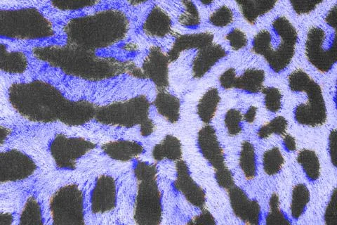Leopard print fabric texture background close up Stock Photos