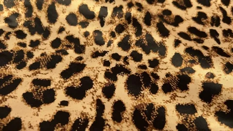 Leopard Print Fabric Texture, Dolly Shots Stock Footage 260977636