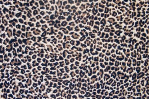 Leopard print fabric texture Stock-Fotos