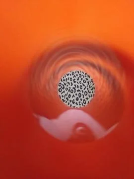 Leopard print in fram Stock Photos