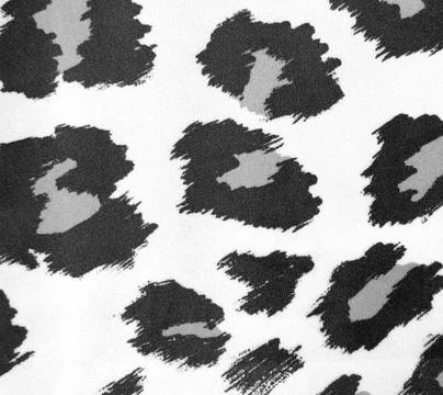 Leopard Print Pattern Close-Up Black White Contrast Design Stock Photos