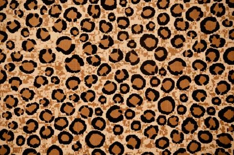 Leopard print Stock Photos