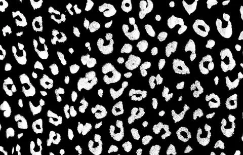 Leopard Print Stock Photos