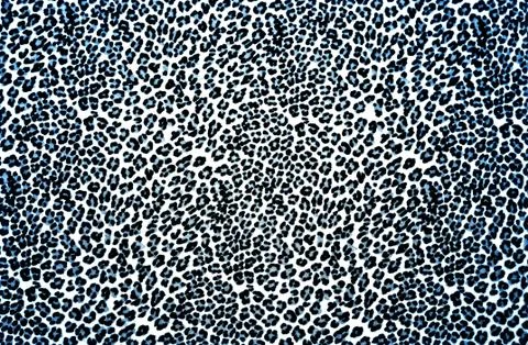 Leopard Print Stock Photos
