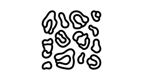 Leopard print stylish clothes line icon animation Stock Footage 326125296