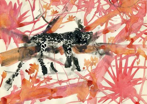 Leopard is resting on the branches of trees in the jungle. Stock Illustration