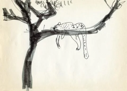 Leopard is resting on the branches of trees in the jungle. Stock Illustration