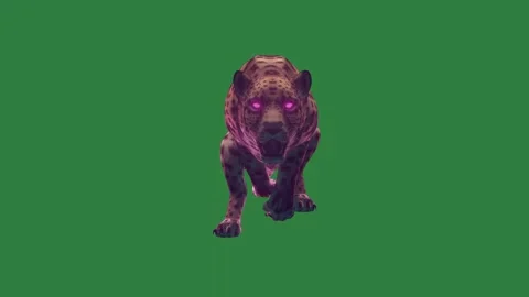 A leopard is running on green screen and dog sitting with purple eyes black Stock Footage 337342134