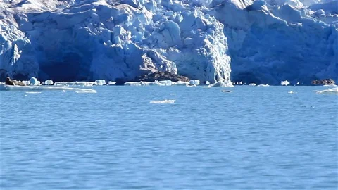 Leopard seal in distance close to iceberg jumps in he water Stock Footage 127979022