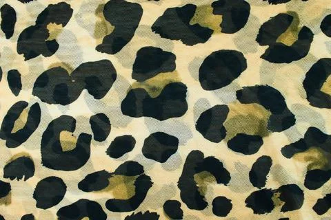 Leopard seamless cloth. Stock Photos