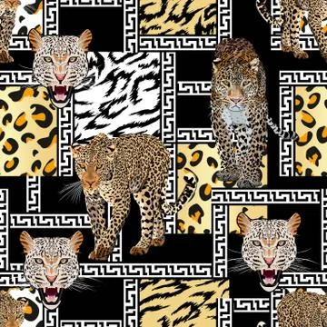Leopard seamless pattern with black white borders. Animal skin texture. Stock Illustration