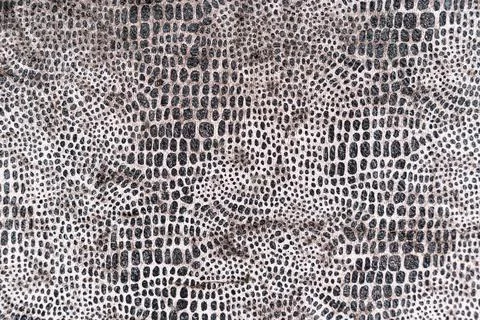 Leopard seamless pattern. images of animals. Texture or background Stock Photos