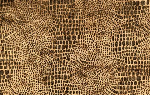 Leopard seamless pattern. images of animals. Texture or background Stock Photos