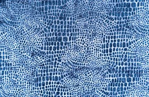 Leopard seamless pattern. images of animals. Texture or background Stock Photos