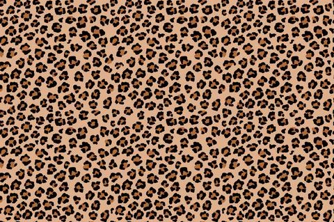 Leopard seamless pattern. Wild animal print. Vector african camouflage skin i Illustrazione stock