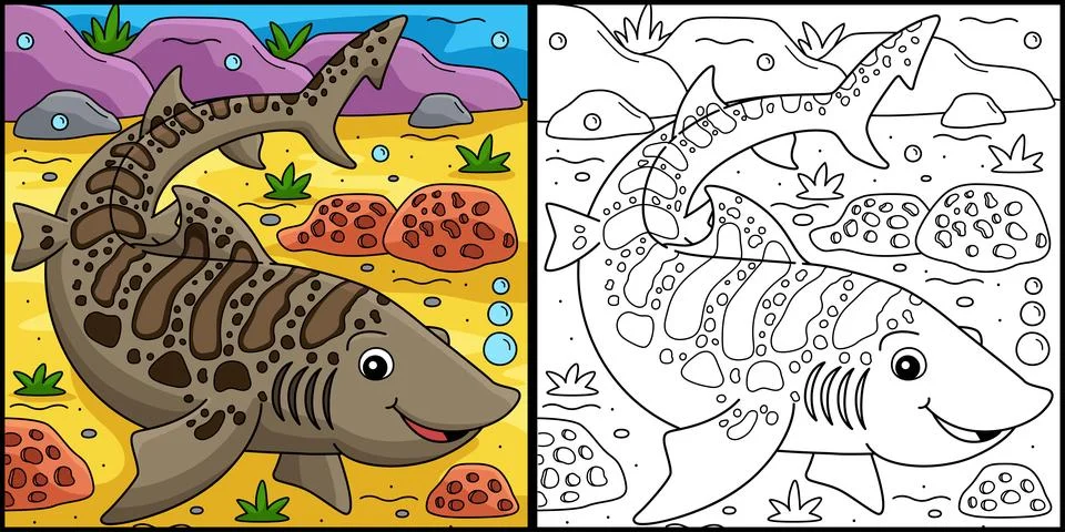 Leopard Shark Coloring Page Colored Illustration Stock Illustration