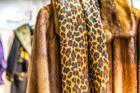Leopard silk on fur Stock Photos