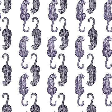 Leopard sit back seamless pattern. Vintage wildlife animals background. Stock Illustration