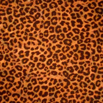 Leopard skin background or texture Illustrazione stock