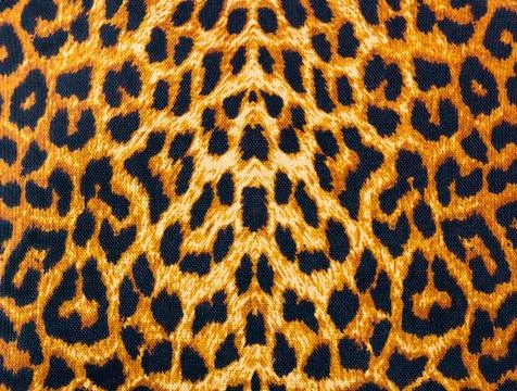 Leopard skin decorative background Stock Photos