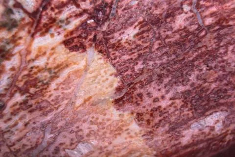 Leopard Skin Jasper Background Stock Photos