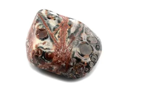 Leopard Skin Jasper Stock Photos