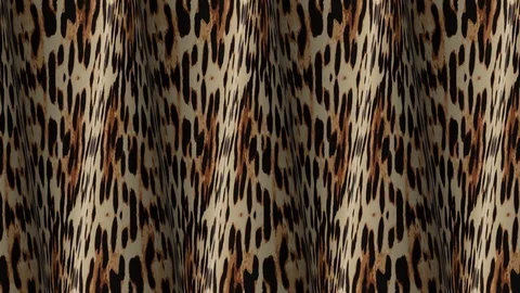 Leopard Skin Motion Background Video stock 108776251