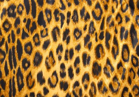 Leopard skin pattern soft blanket material Stock Photos