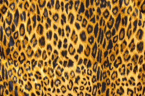 Leopard skin pattern soft blanket material Stock Photos