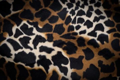 Leopard skin texture for background Stock Photos