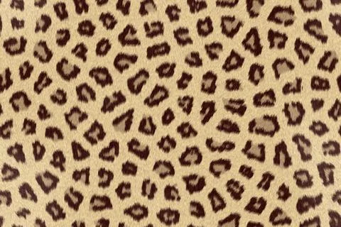 Leopard skin texture Illustrazione stock
