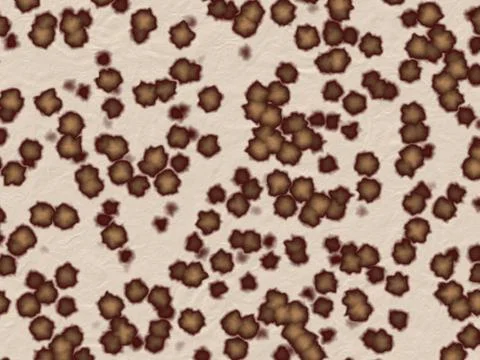 Leopard skin texture Illustrazione stock