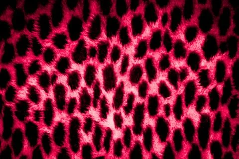 Leopard skin texture Illustrazione stock