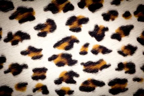 Leopard skin texture Illustrazione stock