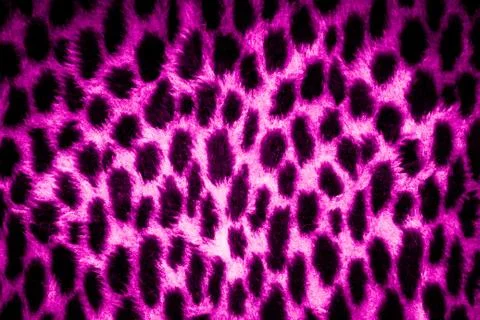 Leopard skin texture Stock Photos