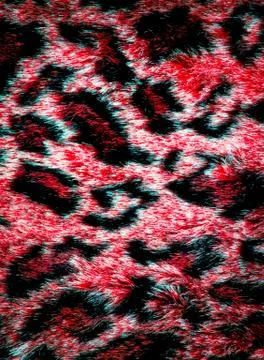 Leopard skin texture Stock Photos
