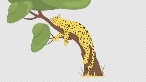 Leopard sleeping on tree 2D character animation Video stock 308911504