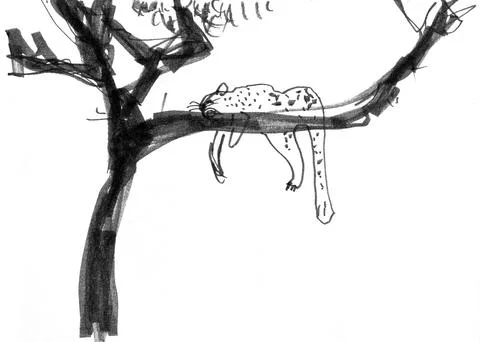 The leopard sleeps on a tree branch. Stock Illustration