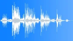 Leopard Sound Effect